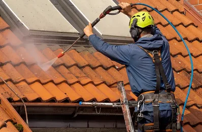 Démoussage et hydrofuge de toiture à Saint-Georges-d'Annebecq